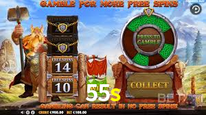 VIP Casino 55s